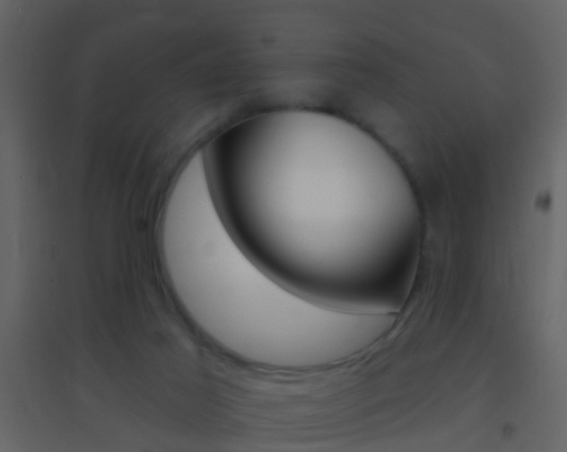 X0000095530021200712140945