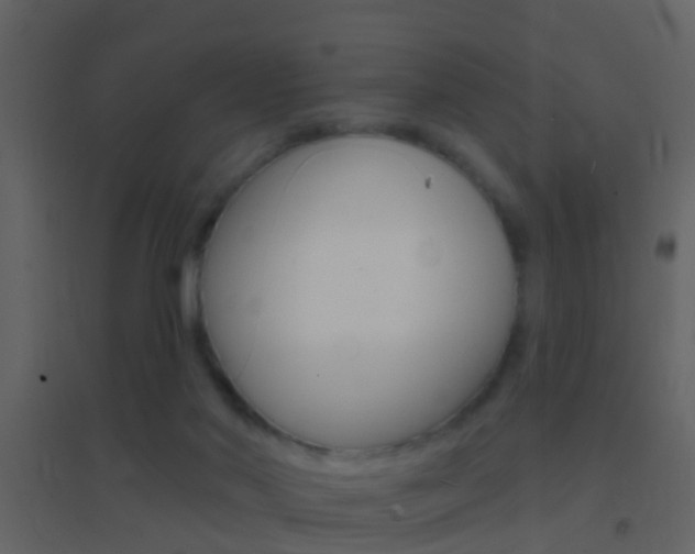X0000095530022200712140945