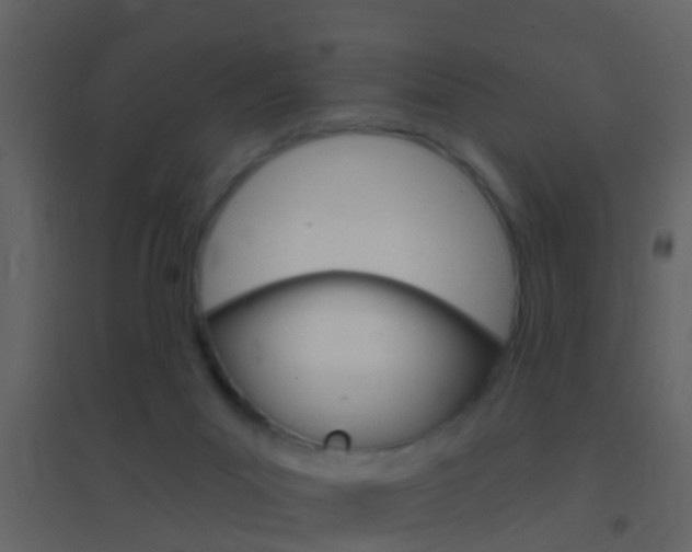 X0000095530023200712140945