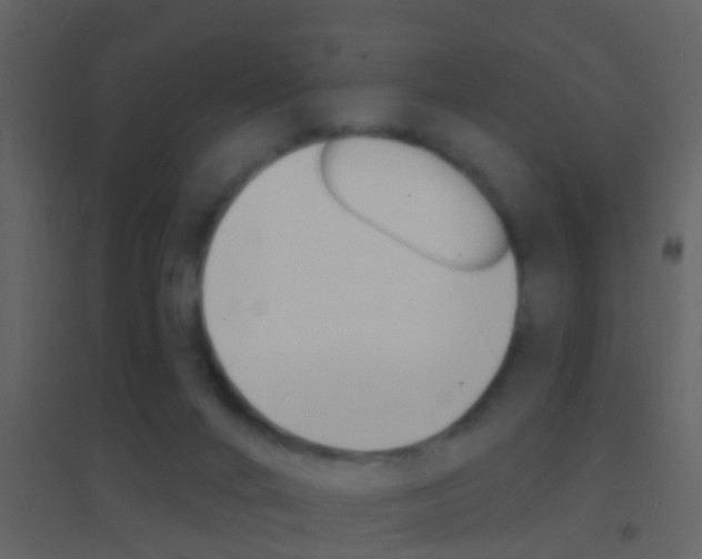 X0000095530024200712140945