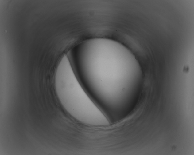 X0000095530025200712140945
