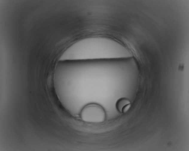 X0000095530026200712140945