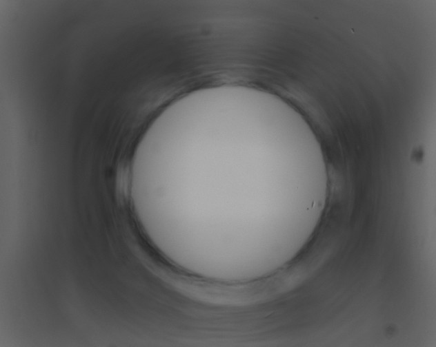 X0000095530028200712140945