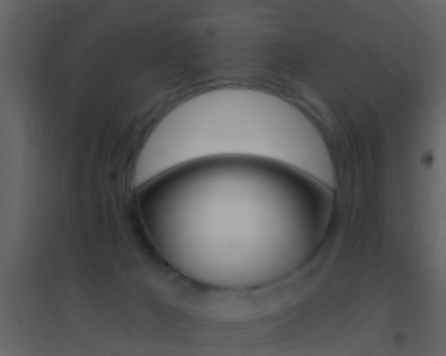 X0000095530029200712140945