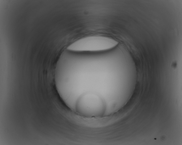 X0000095530030200712140945