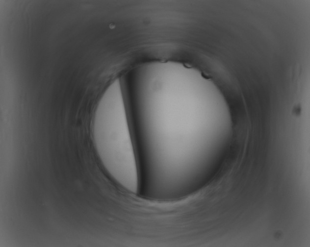 X0000095530031200712140945
