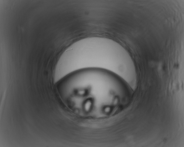 X0000095530033200712140945