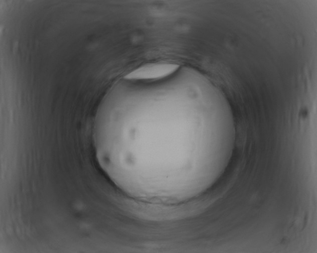 X0000095530034200712140945