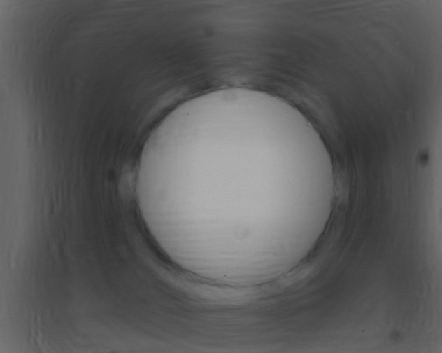 X0000095530036200712140945