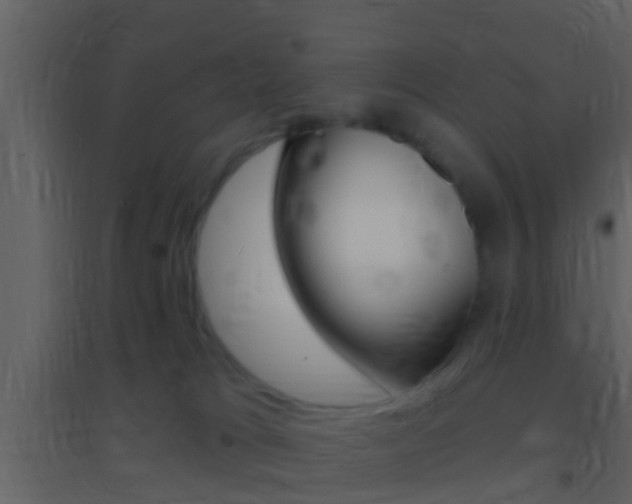 X0000095530037200712140945