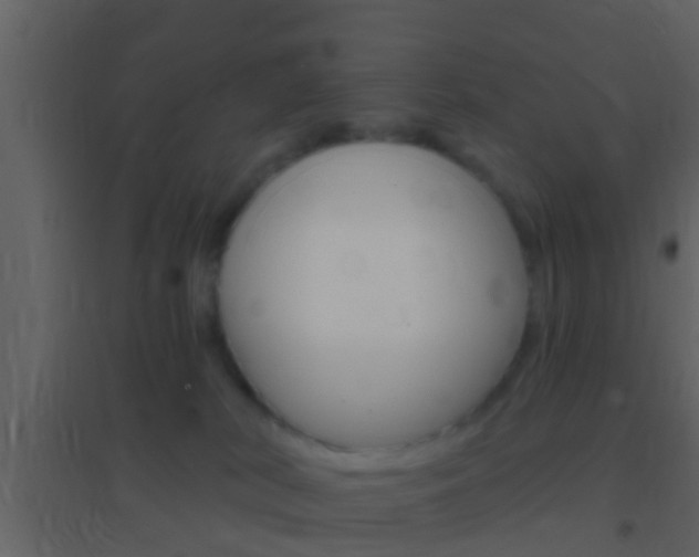 X0000095530038200712140945