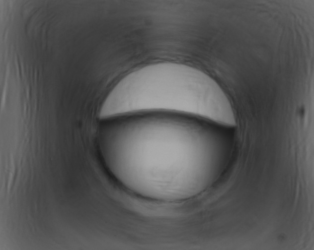 X0000095530040200712140945