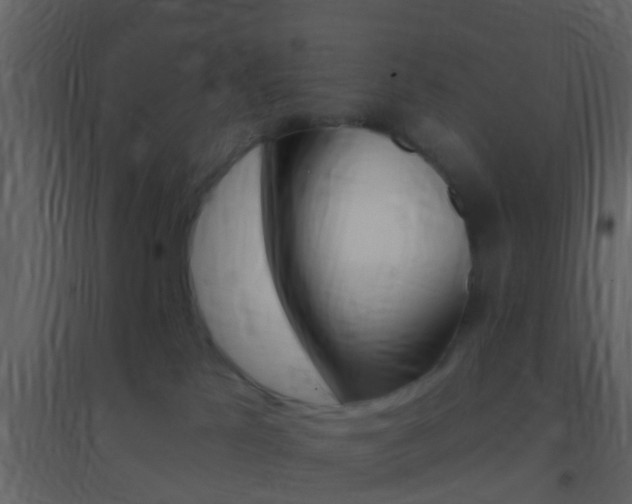 X0000095530041200712140945