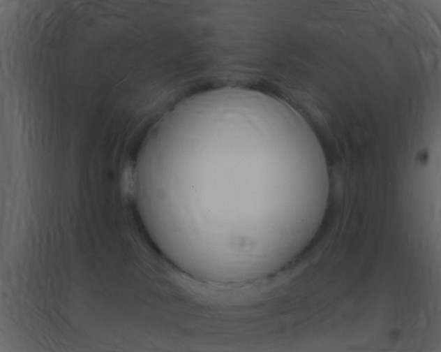 X0000095530042200712140945