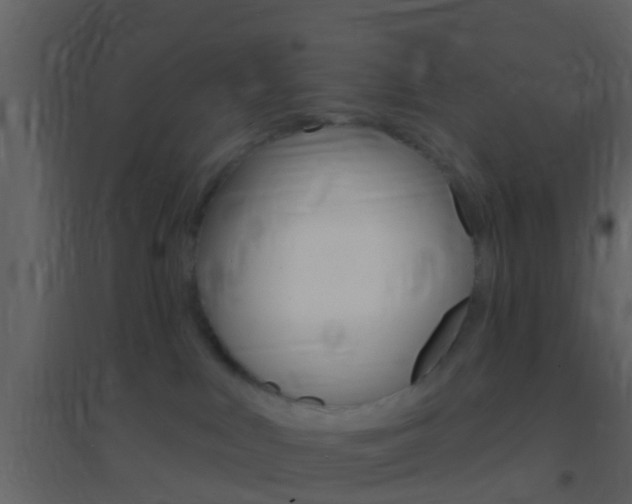 X0000095530043200712140945