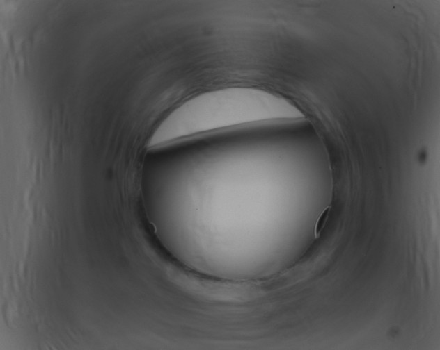 X0000095530044200712140945
