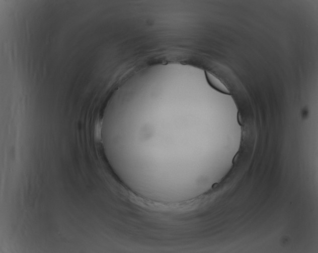 X0000095530046200712140944