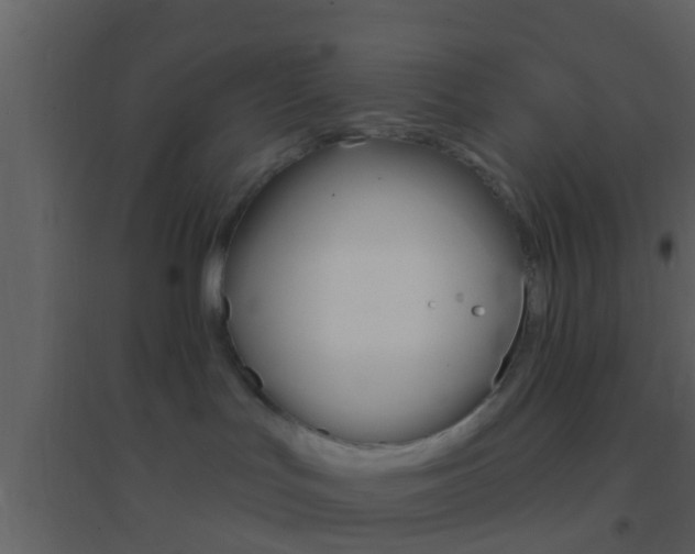 X0000095530047200712140944