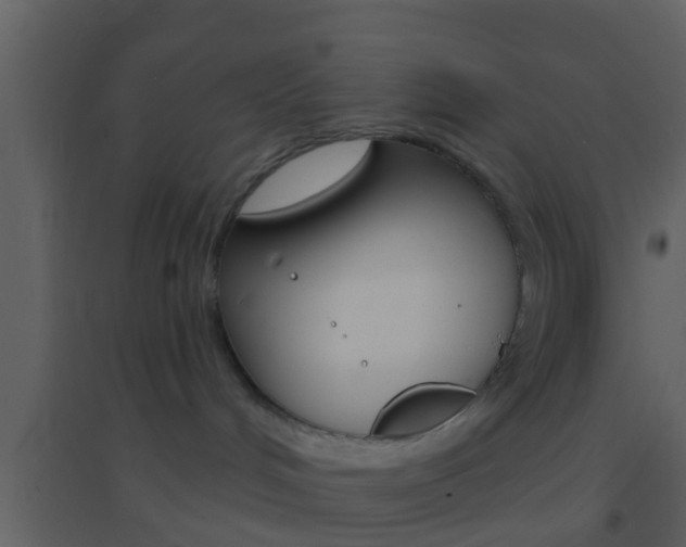X0000095530048200712140944