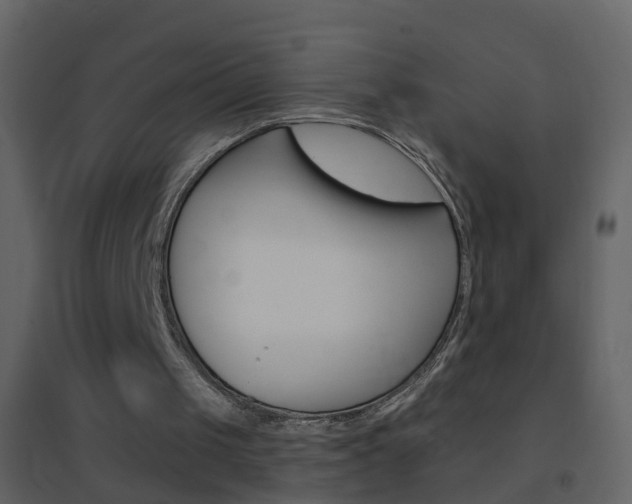 X0000095530049200712140944