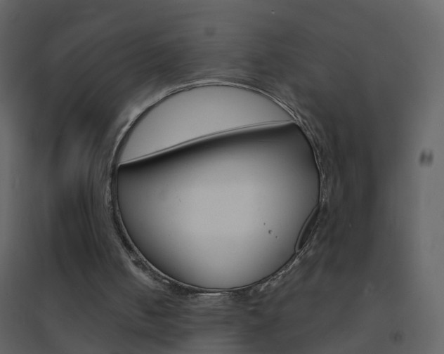 X0000095530050200712140944