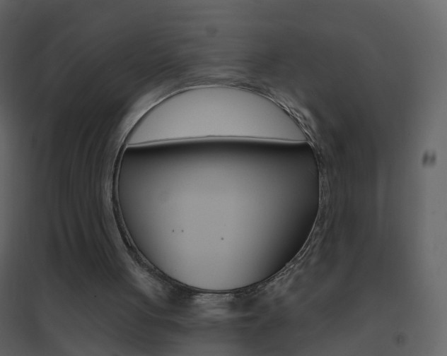 X0000095530051200712140944