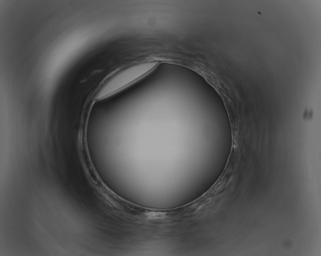 X0000095530052200712140944