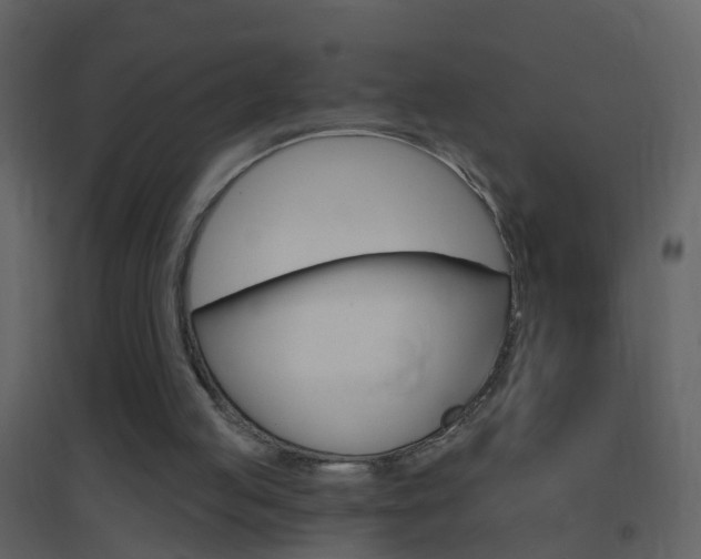 X0000095530053200712140944