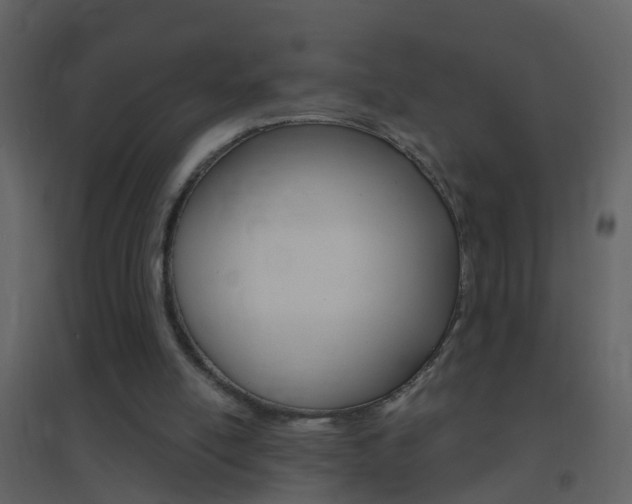 X0000095530054200712140944