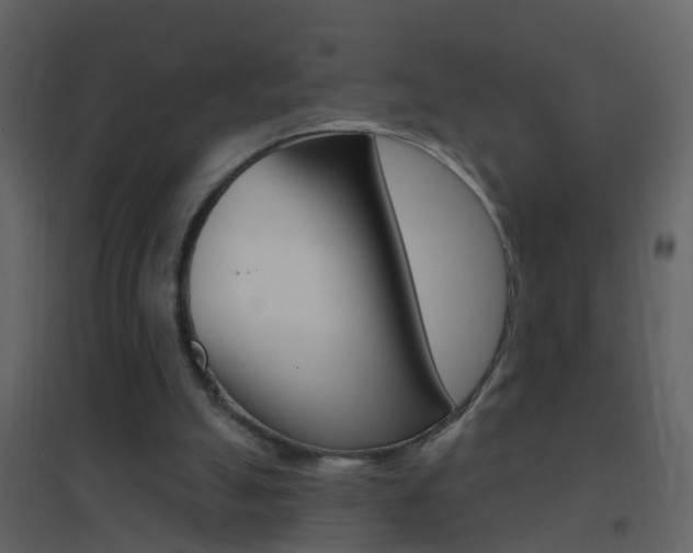 X0000095530055200712140944