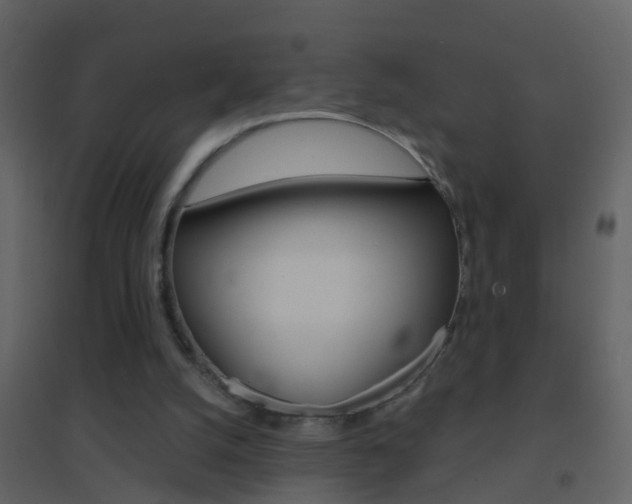 X0000095530056200712140944