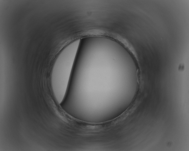 X0000095530057200712140944