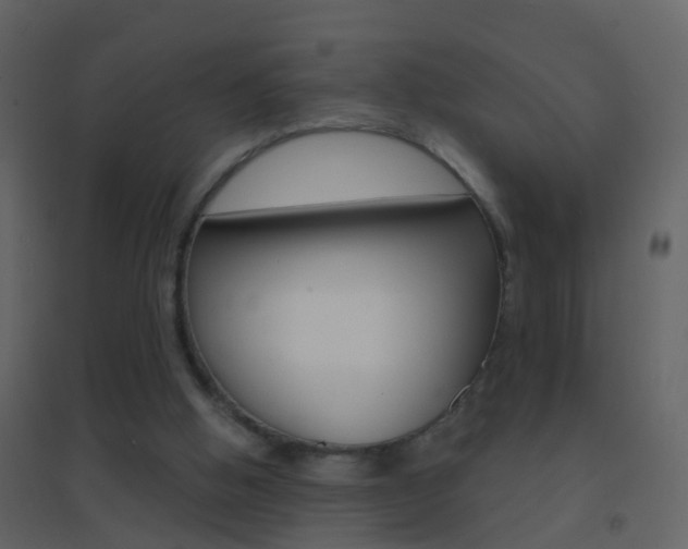 X0000095530058200712140944