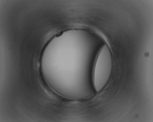 X0000095530059200712140944