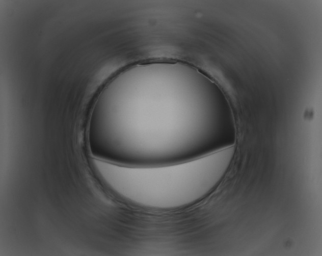 X0000095530060200712140944