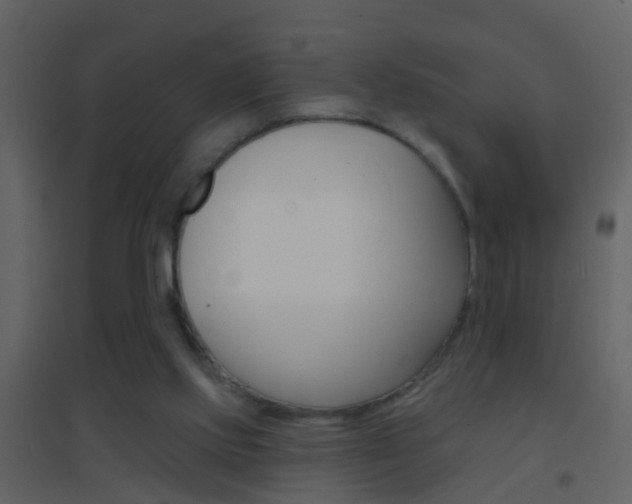 X0000095530061200712140944