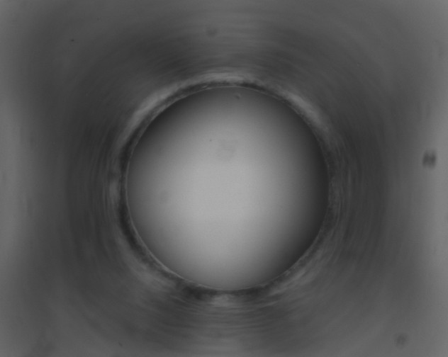 X0000095530064200712140944