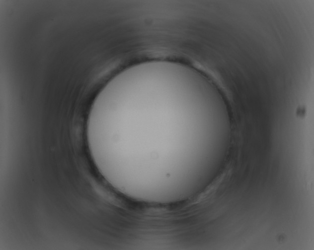 X0000095530066200712140944