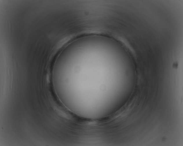 X0000095530068200712140944