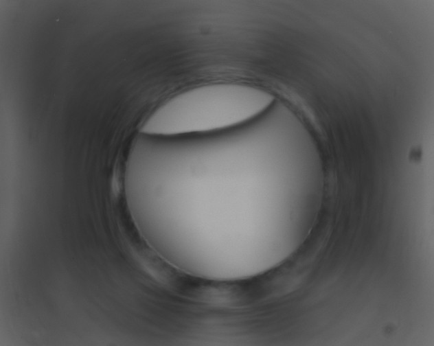 X0000095530069200712140944