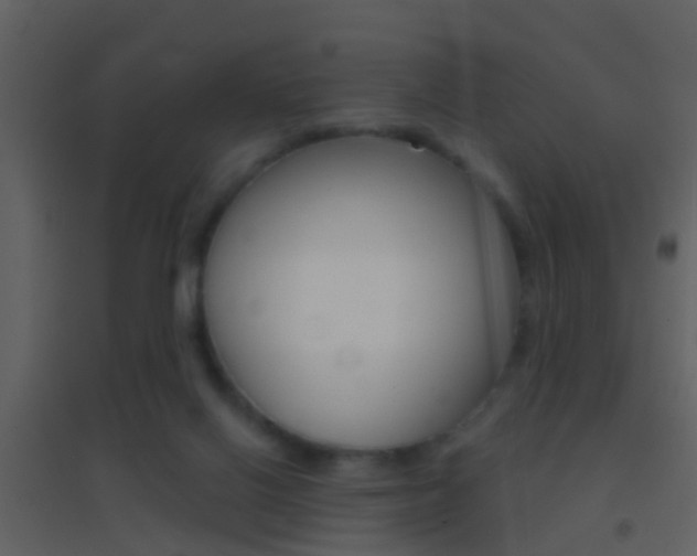 X0000095530070200712140944