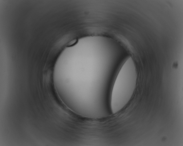 X0000095530071200712140944
