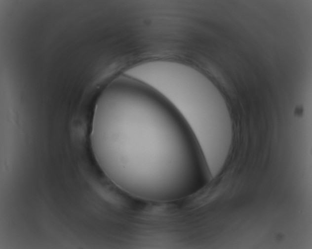 X0000095530072200712140944