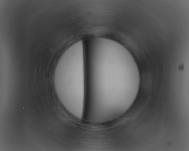 X0000095530073200712140944
