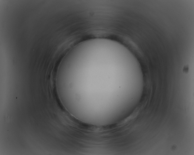 X0000095530074200712140944
