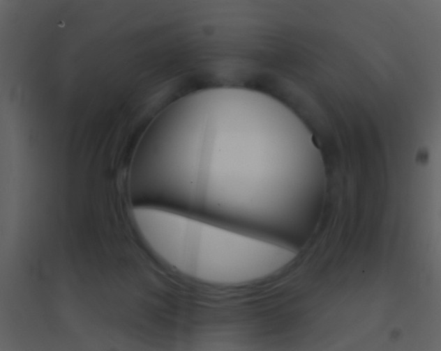 X0000095530075200712140944
