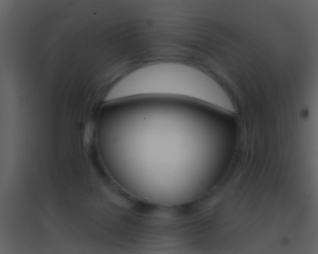 X0000095530076200712140944