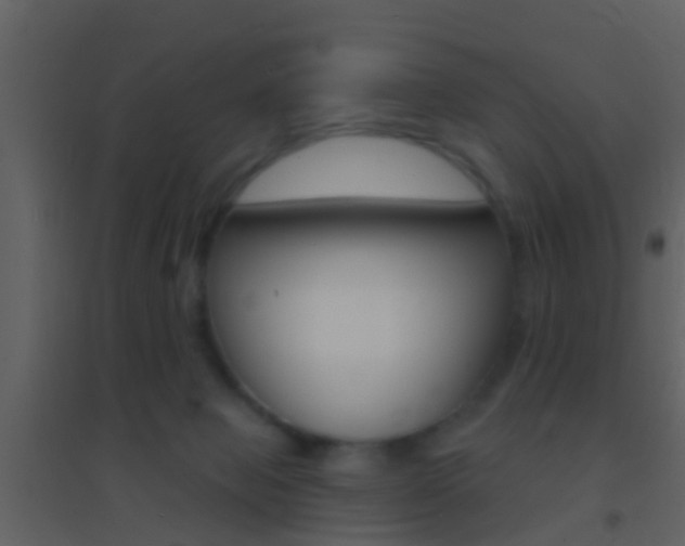 X0000095530077200712140944