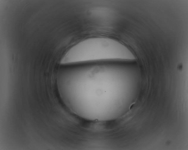 X0000095530078200712140944