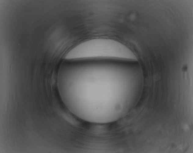 X0000095530081200712140944